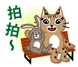 Taiwan Leopard Cat (considerate) sticker #3234652