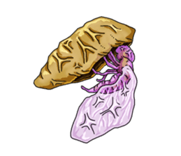 Full funny Insects sticker #3235829