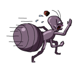 Full funny Insects sticker #3235851