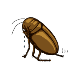Full funny Insects sticker #3235858