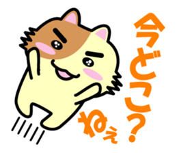 a chaco with lively curiosity sticker #3235861