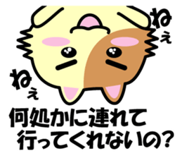 a chaco with lively curiosity sticker #3235865