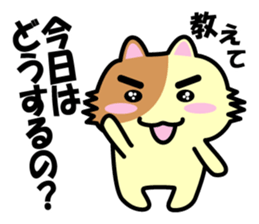 a chaco with lively curiosity sticker #3235867