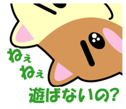 a chaco with lively curiosity sticker #3235869