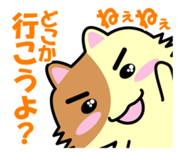 a chaco with lively curiosity sticker #3235874