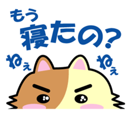 a chaco with lively curiosity sticker #3235877