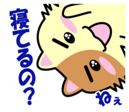 a chaco with lively curiosity sticker #3235878