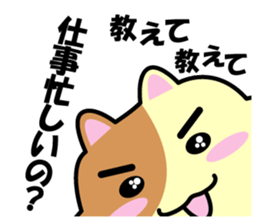 a chaco with lively curiosity sticker #3235884