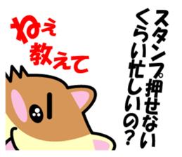 a chaco with lively curiosity sticker #3235886