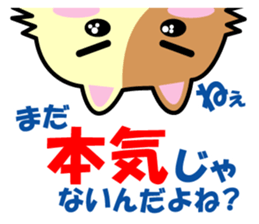 a chaco with lively curiosity sticker #3235893