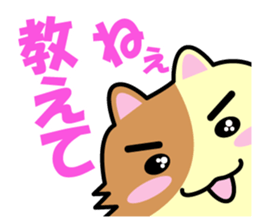 a chaco with lively curiosity sticker #3235895