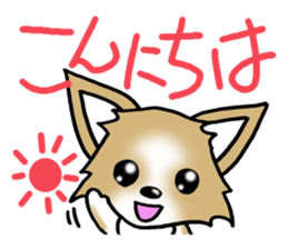 Chihuahua's Sticker! sticker #3236139