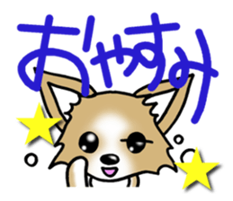 Chihuahua's Sticker! sticker #3236143