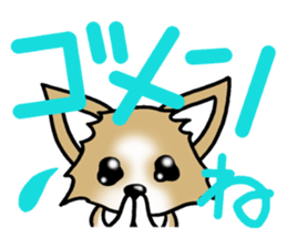 Chihuahua's Sticker! sticker #3236144