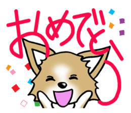 Chihuahua's Sticker! sticker #3236146