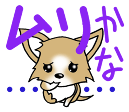 Chihuahua's Sticker! sticker #3236148
