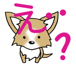 Chihuahua's Sticker! sticker #3236151