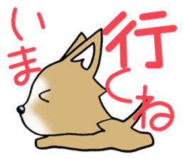 Chihuahua's Sticker! sticker #3236155