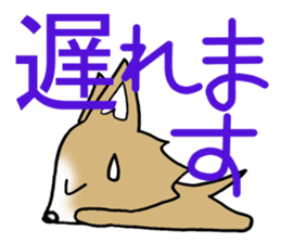 Chihuahua's Sticker! sticker #3236156