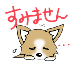Chihuahua's Sticker! sticker #3236157