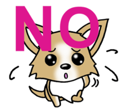 Chihuahua's Sticker! sticker #3236164