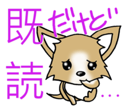 Chihuahua's Sticker! sticker #3236166