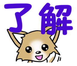 Chihuahua's Sticker! sticker #3236170
