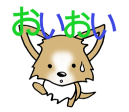 Chihuahua's Sticker! sticker #3236175