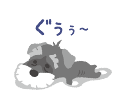 Tuna of Schnauzer 1 sticker #3236628