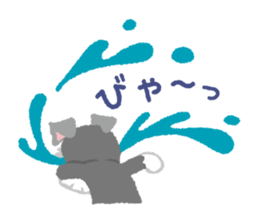 Tuna of Schnauzer 1 sticker #3236634