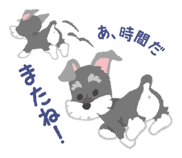 Tuna of Schnauzer 1 sticker #3236638