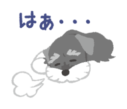 Tuna of Schnauzer 1 sticker #3236640