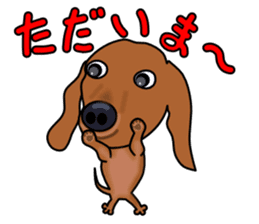 Dachs2 sticker #3236779