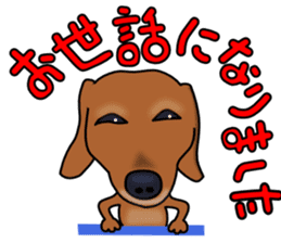 Dachs2 sticker #3236784