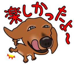 Dachs2 sticker #3236795