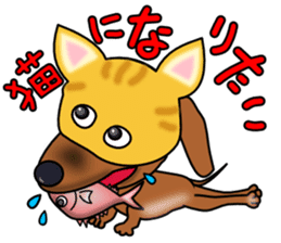 Dachs2 sticker #3236799