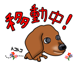 Dachs2 sticker #3236806