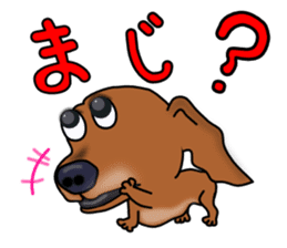 Dachs2 sticker #3236816