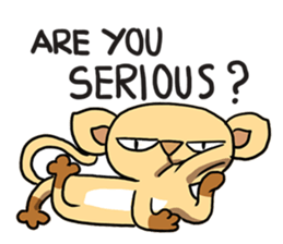 Catto cat sticker #3238773