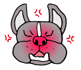 French bulldog, Amelie 40 various faces! sticker #3239222