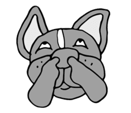 French bulldog, Amelie 40 various faces! sticker #3239223
