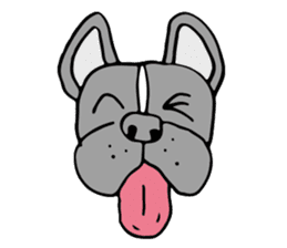 French bulldog, Amelie 40 various faces! sticker #3239229