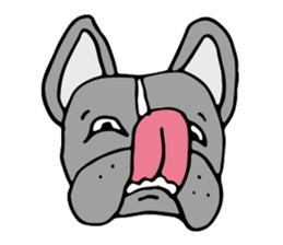 French bulldog, Amelie 40 various faces! sticker #3239235