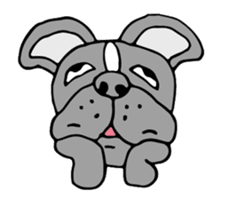 French bulldog, Amelie 40 various faces! sticker #3239236