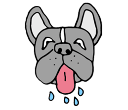 French bulldog, Amelie 40 various faces! sticker #3239238