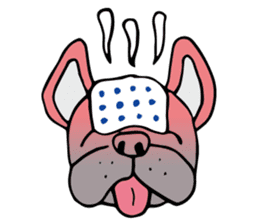 French bulldog, Amelie 40 various faces! sticker #3239242