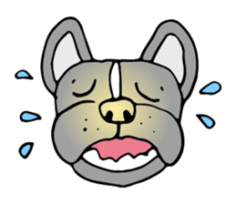 French bulldog, Amelie 40 various faces! sticker #3239245