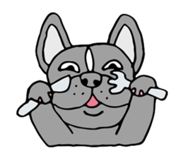 French bulldog, Amelie 40 various faces! sticker #3239246