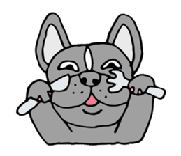 French bulldog, Amelie 40 various faces! sticker #3239246