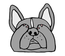 French bulldog, Amelie 40 various faces! sticker #3239248